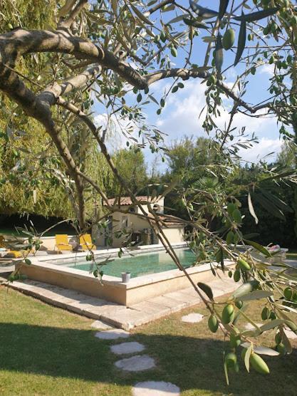 Mas Des Muses Bed & Breakfast L'Isle-sur-la-Sorgue Bagian luar foto